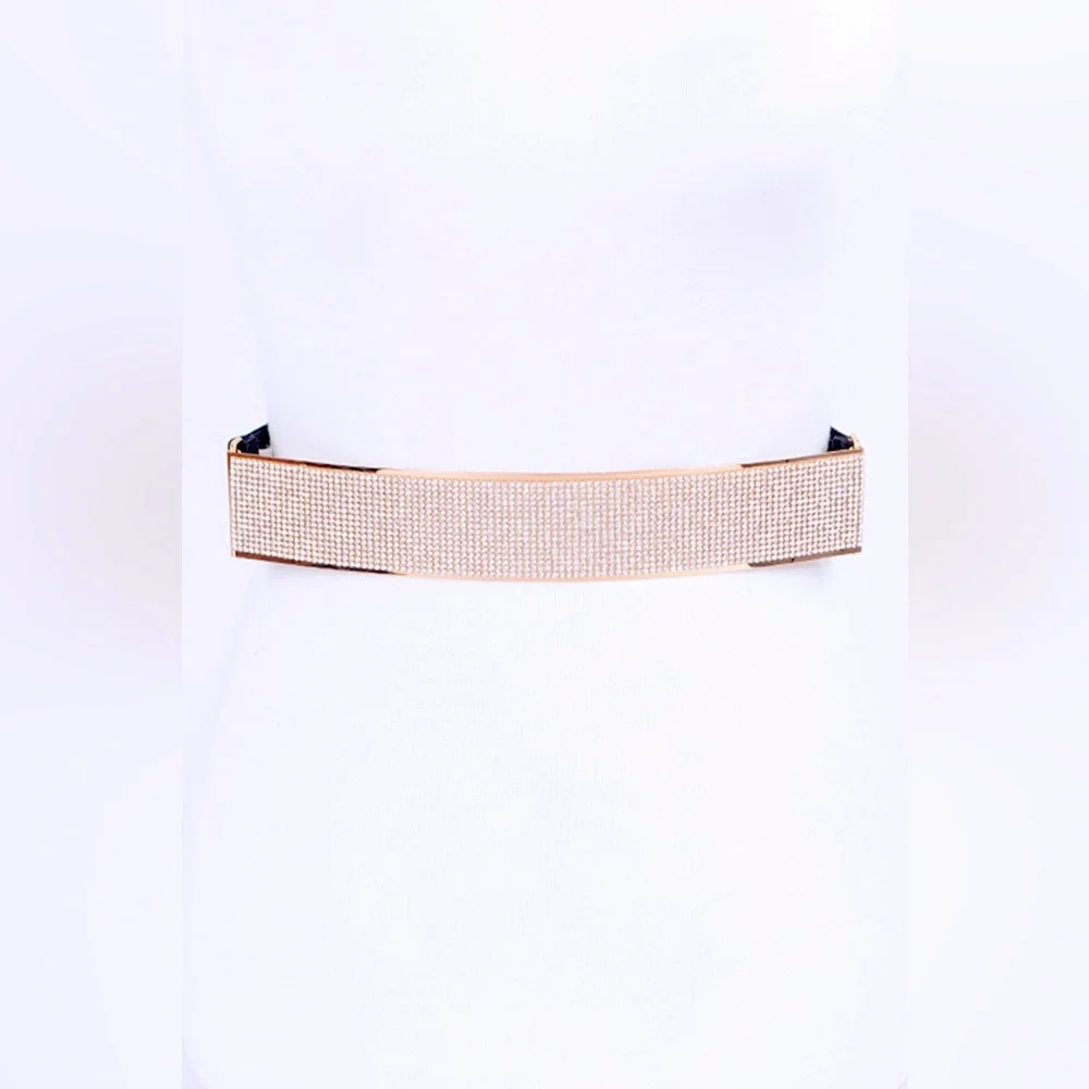 Rhinestone Metallic Plaque Elastic Statement Belt - Picture 2 of 7